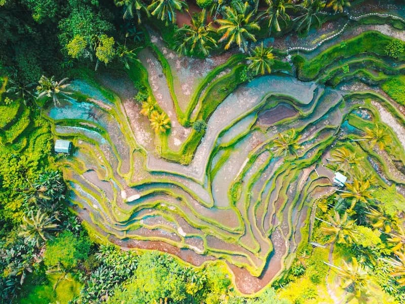 Bali: Full-Day Instagram Highlights Tour