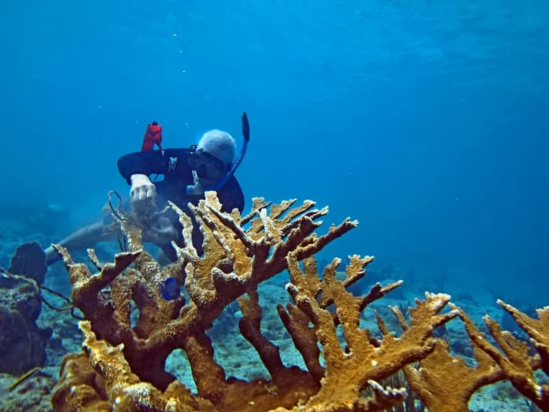 Bali/Lovina: Private Fishing Tour with Snorkeling Option