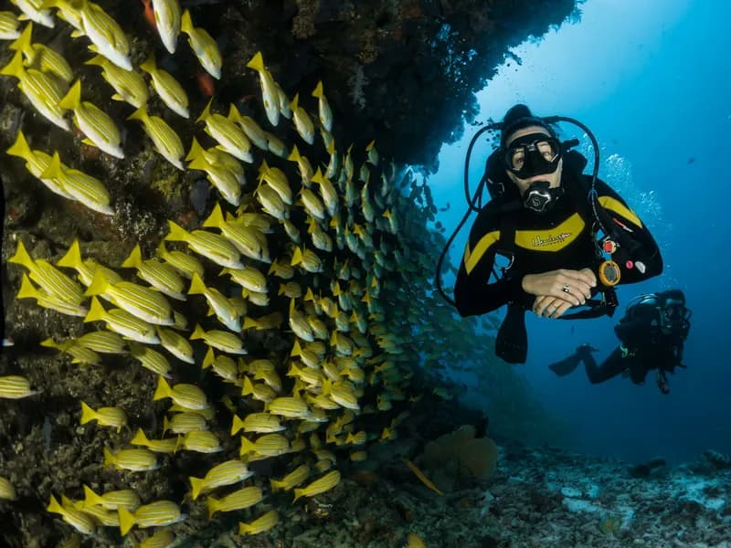 Bali: Lovina Sunset Tour with Snorkeling Experience