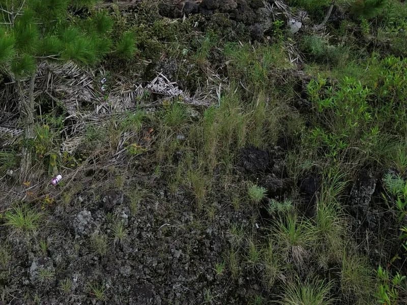 Bali: Mount Batur Sunrise Guided Hike and Natural Hot Spring