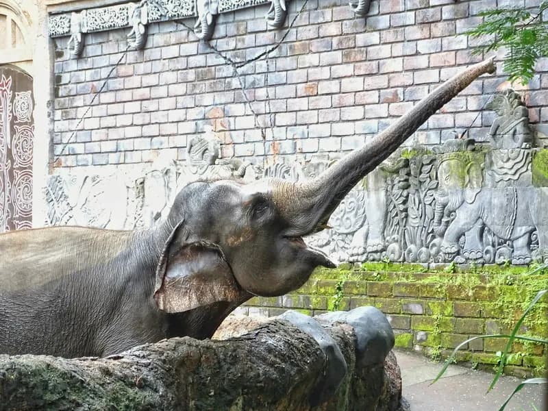 Bali: Sunrise Cycling, Canoeing, and Turtle Center Tour