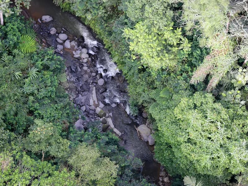 Bali: Ubud Gorilla Face ATV and Ayung Rafting Trip with Meal