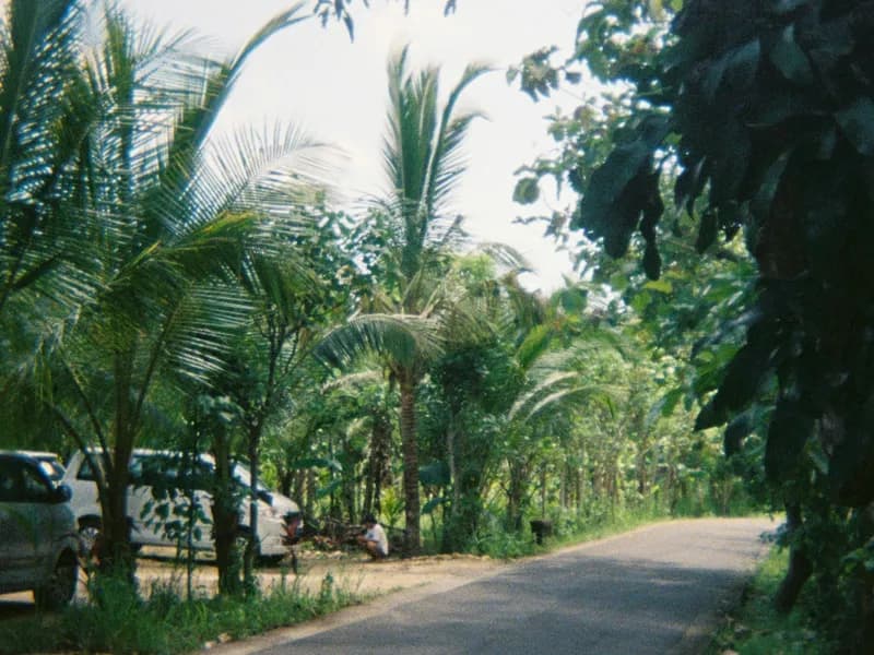 From Bali: 1-Way or Return Boat Sanur to/from Nusa Penida