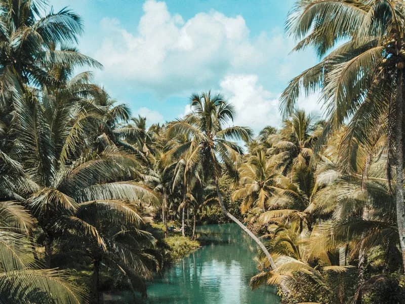 Kuta | Ngurah Rai (Bali) International Airport Private Airport Transfer