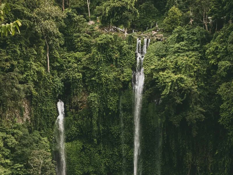Ubud: Waterfall, Rice Terraces & Monkey Forest Private Tour