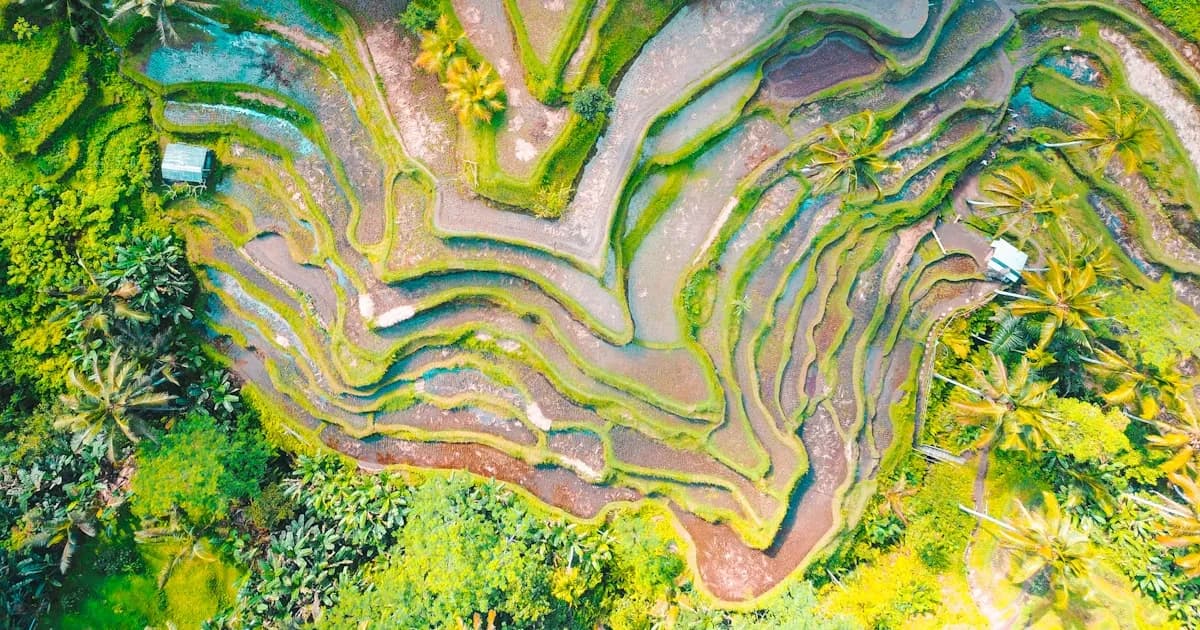 Best Things to Do in Bali: Ultimate Activity Guide